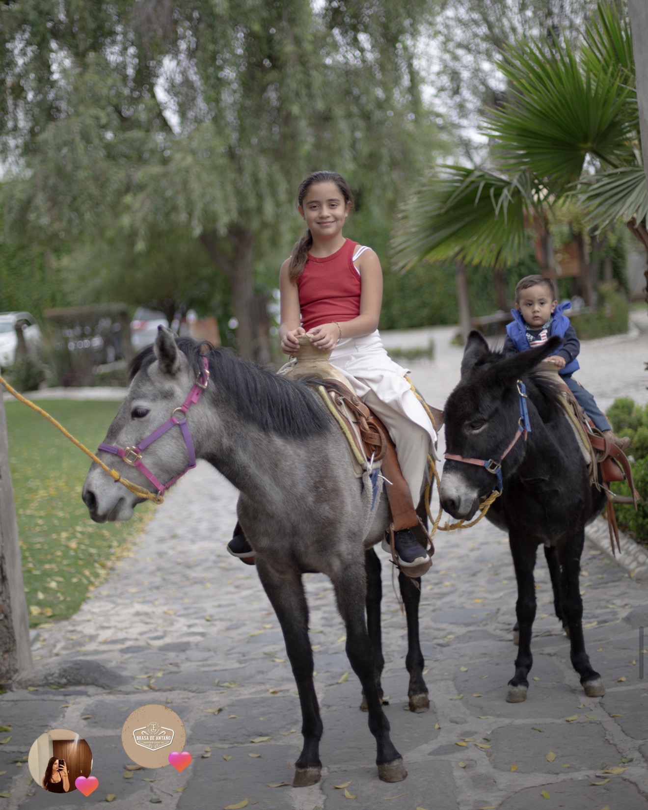 Niños descubriendo la Hacienda a caballo